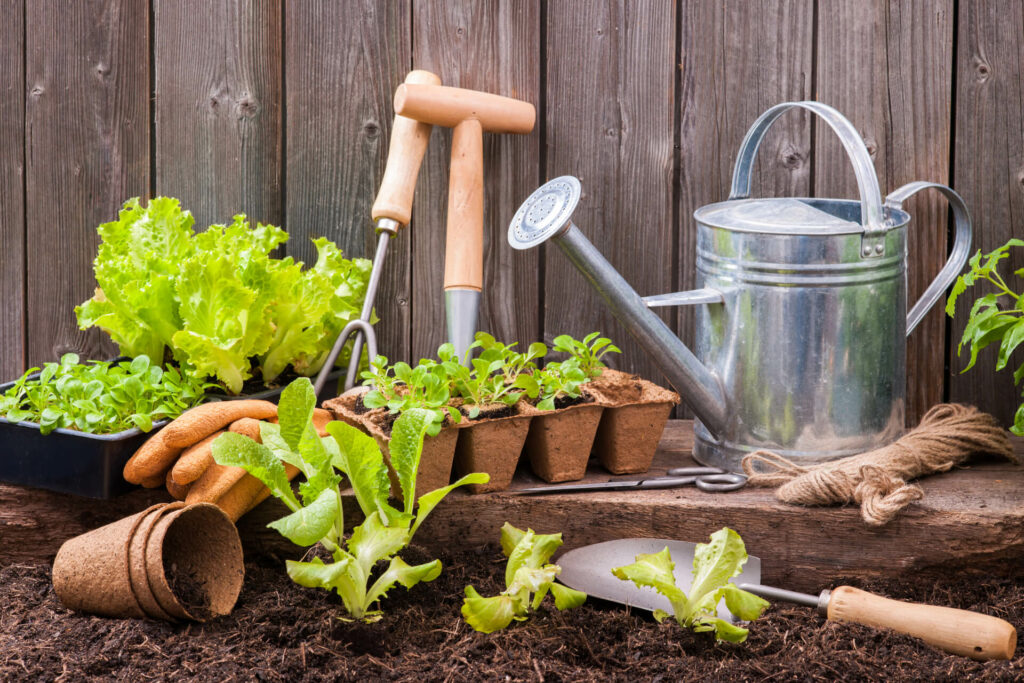 Comment jardiner écolo et économiser de l'eau