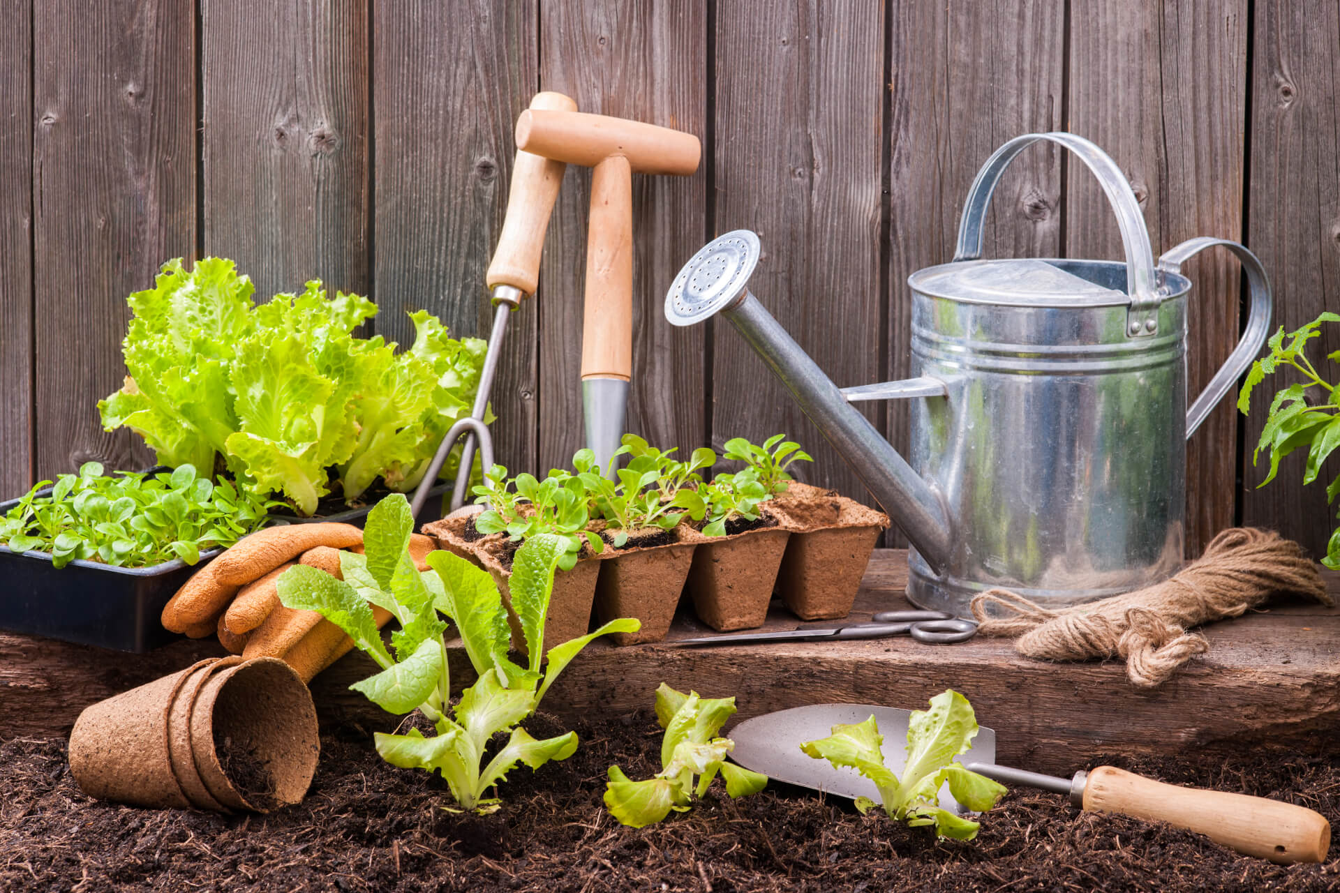 Comment jardiner écolo et économiser de l'eau ?